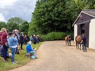 KS300622-73 - Kirtlington Stud Visit